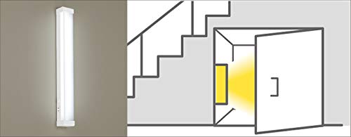Panasonic LED Multi-Purpose Light (for storage rooms, hallways, etc.), Daylight White, HH-SF0030N