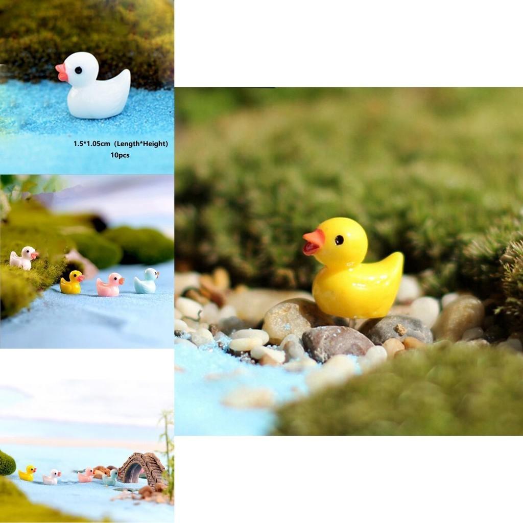 Entzückende 5 Farben Mini Bunte Entenharzornamente für bezaubernde Mikrolandschaften