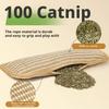 Catnip Chew Pillow with Jute Texture: Soothing Cat Toy for Dental Health, Scratching & Boredom Relief - Self-Play Cuddle Pad