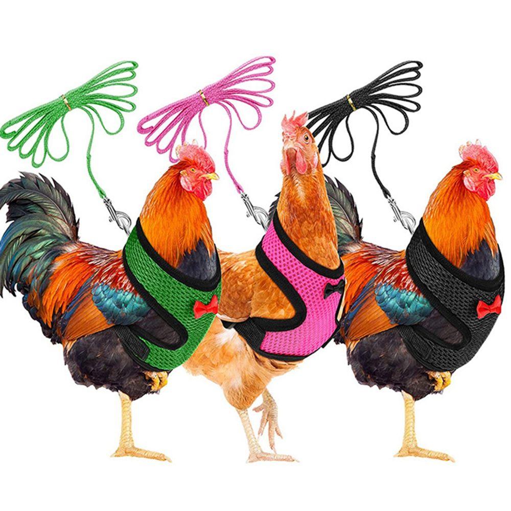 Matching Collars Small Animal Adjustable Bow Pet Harness Leash Chick Leads Hen Belt Chicken Vest