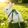 Soft Guinea Pig Harness Escape Proof Ferret Harness Leash Rabbit Towing Rope  Outdoor Walking