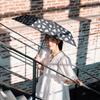 estaa Sun and Rain Rose Heat Sun UV Black (Esta) Women's Parasol, Umbrella, Foldable, Plain/Floral Pattern, Shielding, Protection, Cut, 50cm,