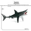Children's Marine Animal Toy Set: Megalodon, Beluga, Octopus, Turtle, Dolphin & Manta Ray