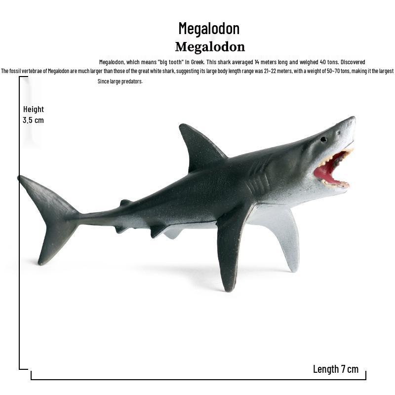 Children's Marine Animal Toy Set: Megalodon, Beluga, Octopus, Turtle, Dolphin & Manta Ray