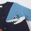 Children's Sweater Cardigan 2025: New Autumn/Winter Boys' Jacket
