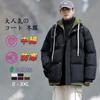 Winter Cold Weather Zipper Large Cold Down Simple Outerwear [Candy Kiosk] Men's Clothes, Coat, Filled, Hooded, Jacket, Size, Loose, Thick, Windproof,