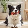 Simulated Bone Dog Toys That Can't Be Chewed Up, Medium-sized Dog Toys for Chewing, Teething Pet Toys