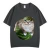 Watermelon Cat Silly Cat Funny Meme T Shirts Unisexs Unisex Clothing Casual Pure Cotton Tshirt Fashion Tshirts Streetwear