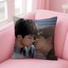 Bl Tv R-Revenged Love Pillow Case Anti-Dustmite Pillowcase Invisible Zipper Silky Short Plush Sofa Cushion Cover