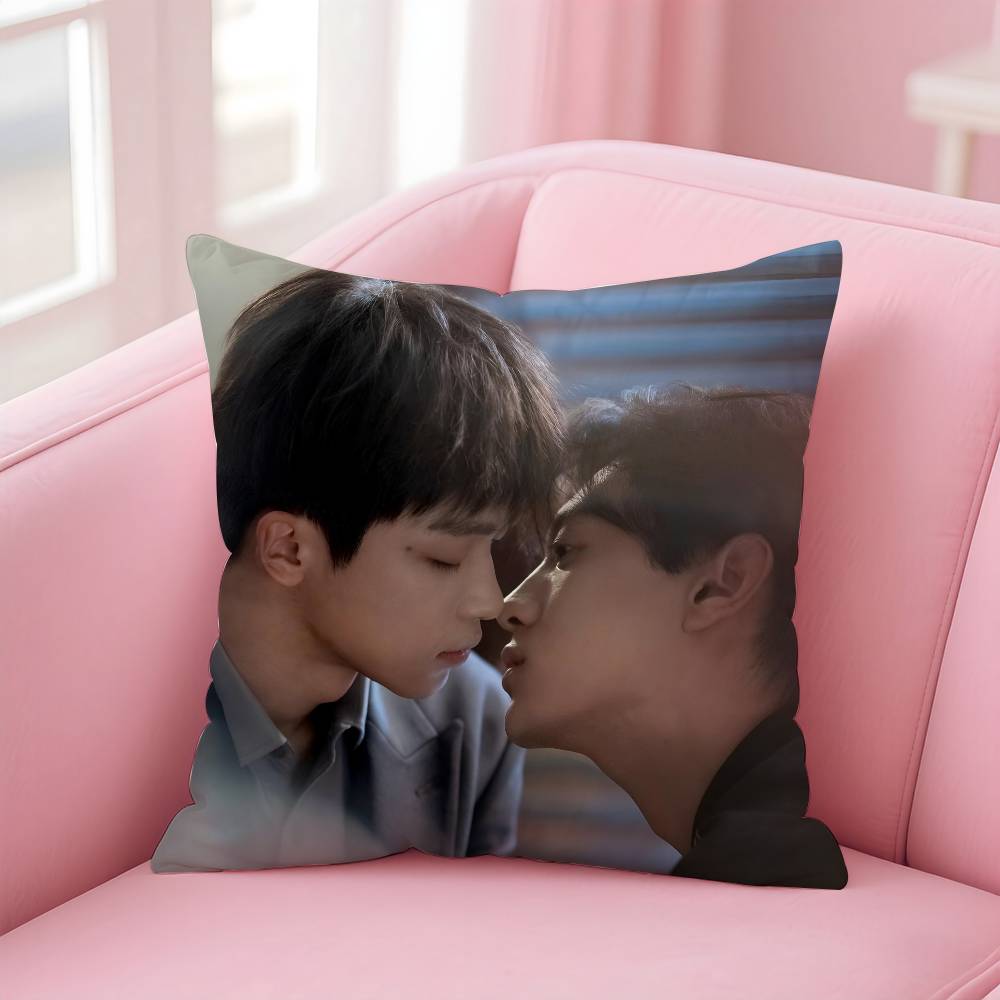 Bl Tv R-Revenged Love Pillow Case Anti-Dustmite Pillowcase Invisible Zipper Silky Short Plush Sofa Cushion Cover