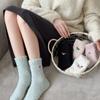 Coral Fleece Socks for Autumn and Winter, Non-shedding Dachshund Women's Socks, Half-fleece Warm Floor Socks