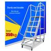 Warehouse Picking Ladder with Wheels