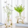 2024 Hydroponic Container 2Pcs/Set Nordic Style Geometric Exquisite Flower Vase Star Shape Metal Frame Glass Home Decoration