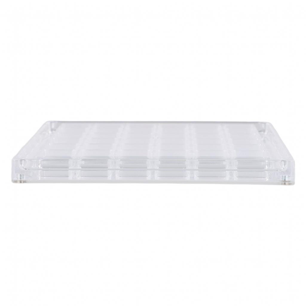 Sleek Acrylic Magnetic Seashell Display Box A Must Have for Shell Collectors