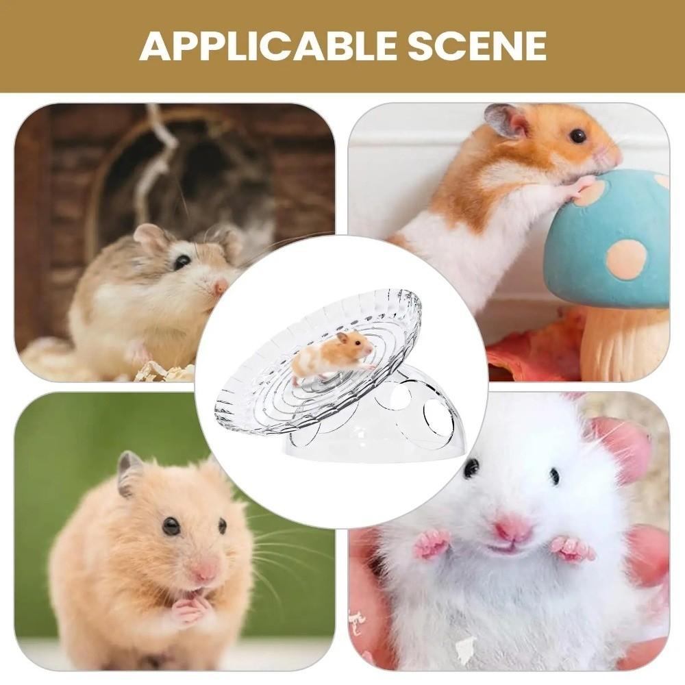 Acrylic Hamster Running Wheel Extra Large Anti-slip Running Disc Silent Spinner Quiet Cage Running Wheel