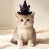 Cosplay Headgear for Dogs Pet Halloween Witch Hat, Bows/Pumpkins Decor, Adjustable Felt Cap Costume Accessory, Lightweight Comfortable Headwear,