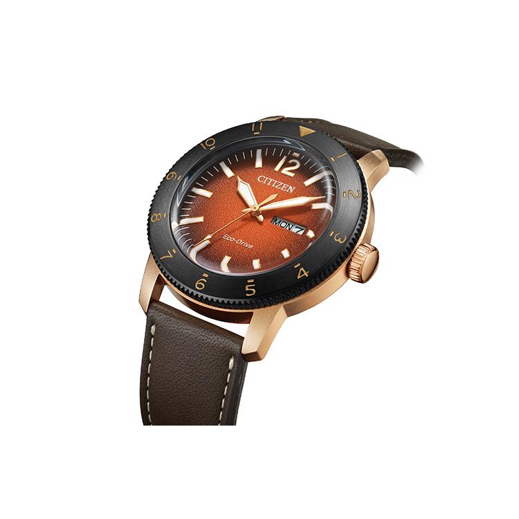 CITIZEN Men's Ecology Drive Collection Watch AW0079-13X