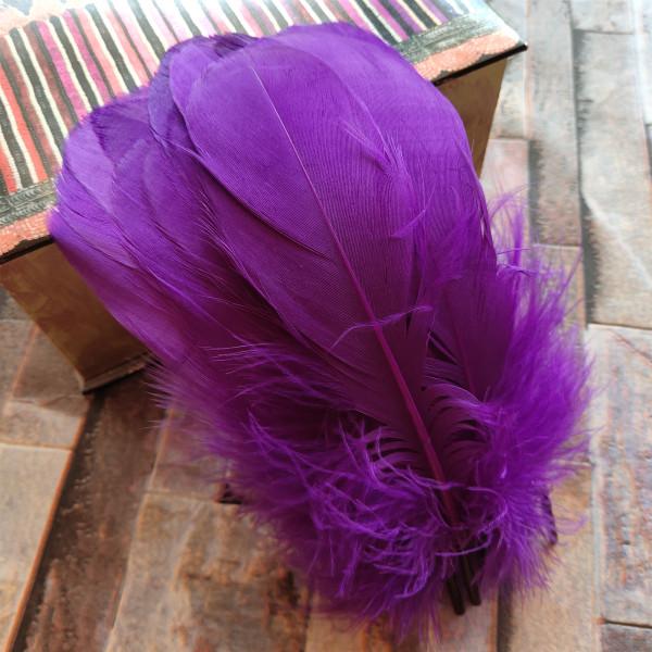 20pcs Natural Goose Feathers 31 Color Loose Goose Feathers 12-20cm Long Christmas Decoration Clothing Shoes Hat Accessories