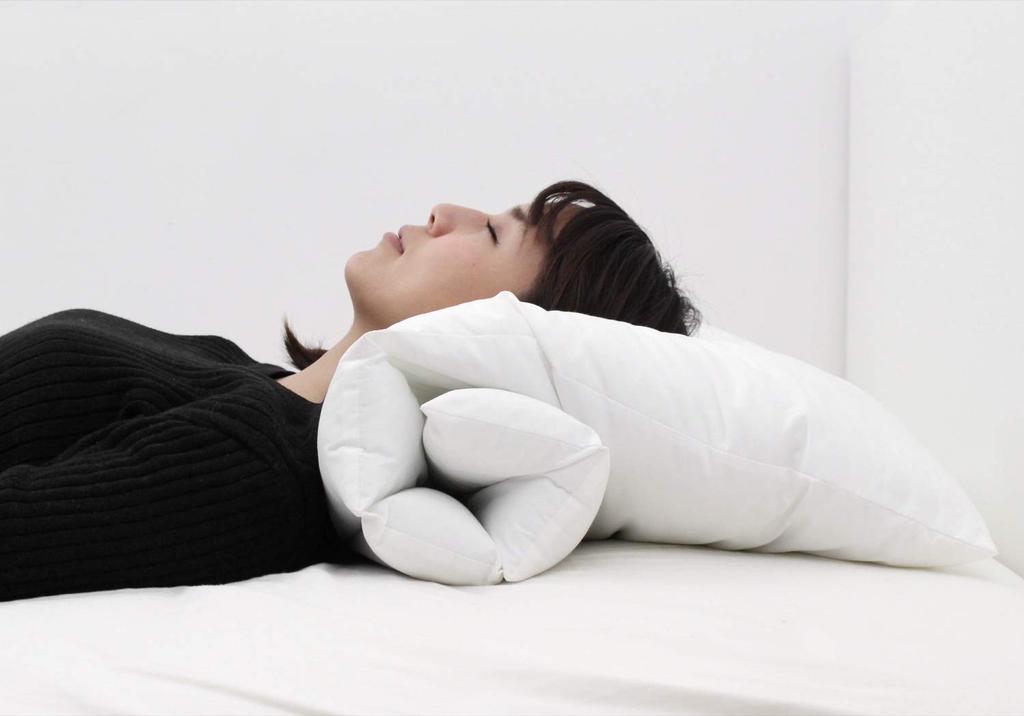 Danfill Pillow Me Pillow Me with Dedicated Pillow Cover JPA213-AKS18-3