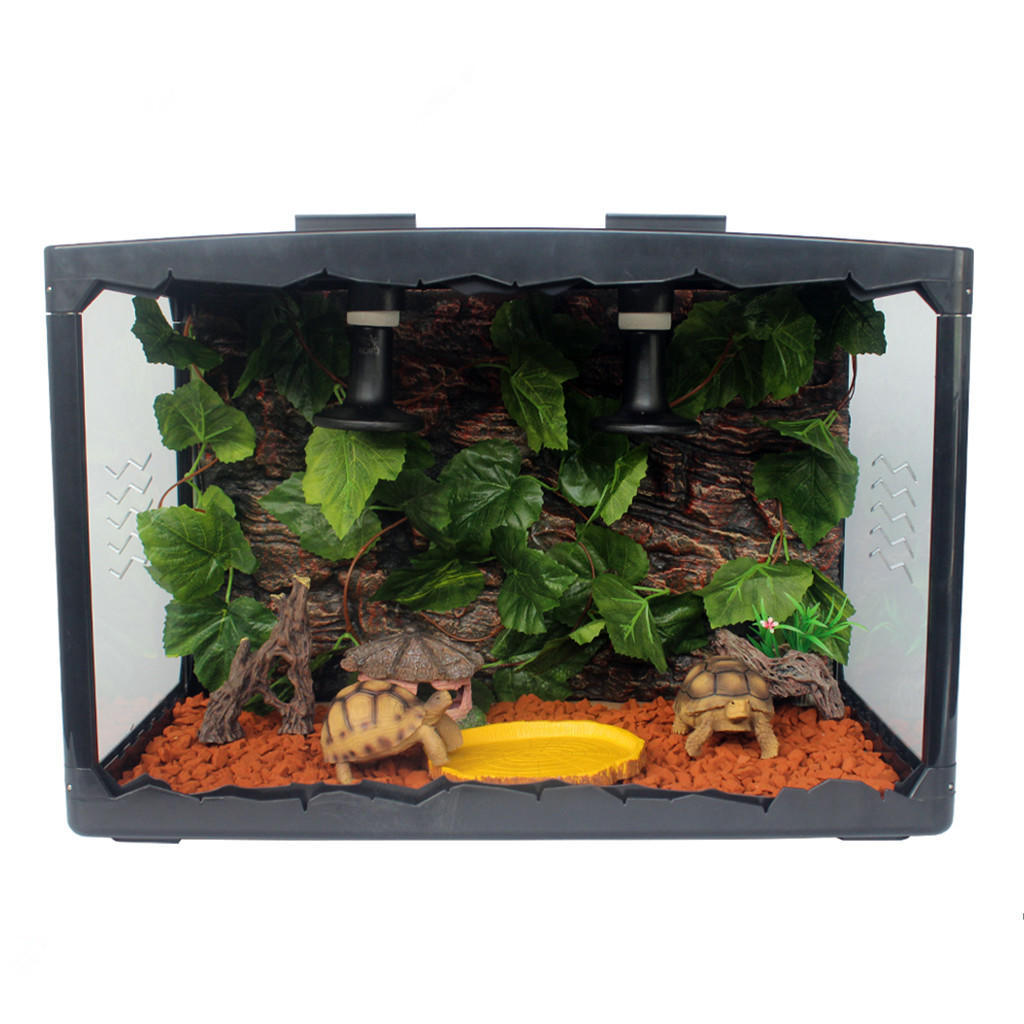 vivarium accessories