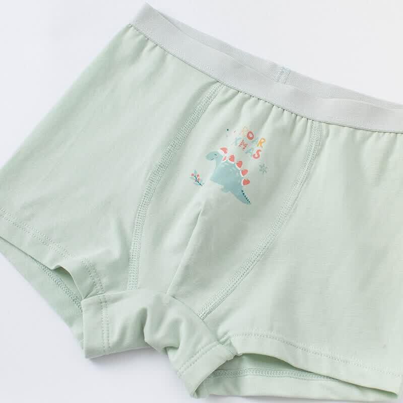DAVE & BELLA Boys' Stretchy Boxer Briefs - 2 Pack
