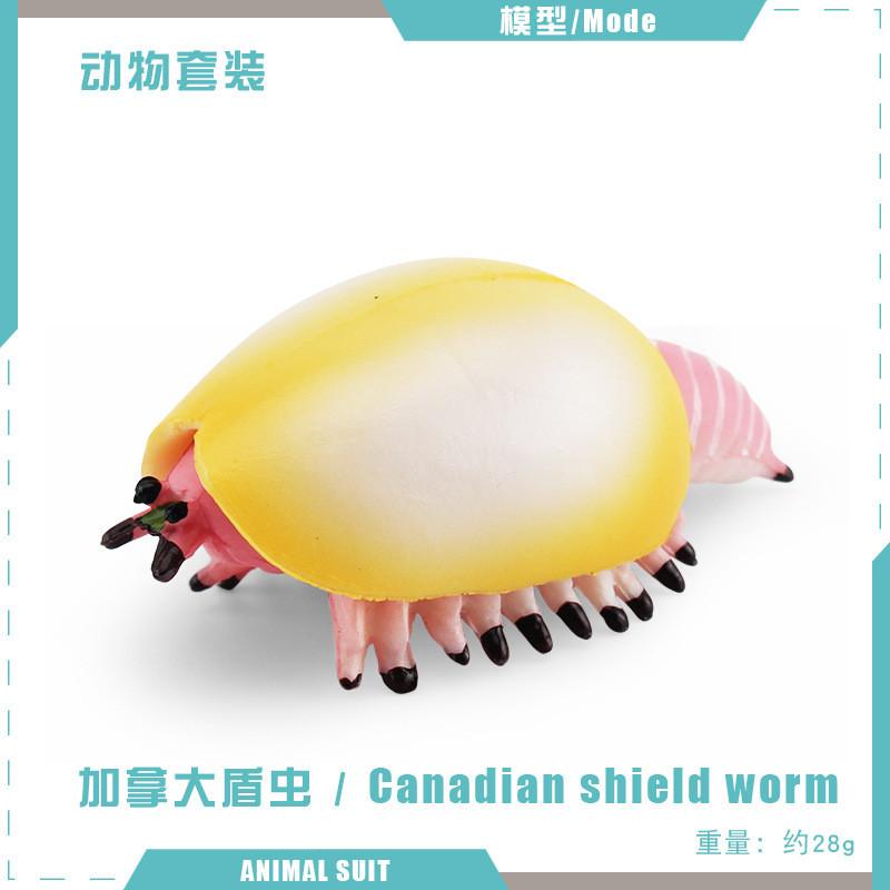 Realistic Ancient Marine Creature Model Collection Featuring Cambrian Anomalocaridids And More