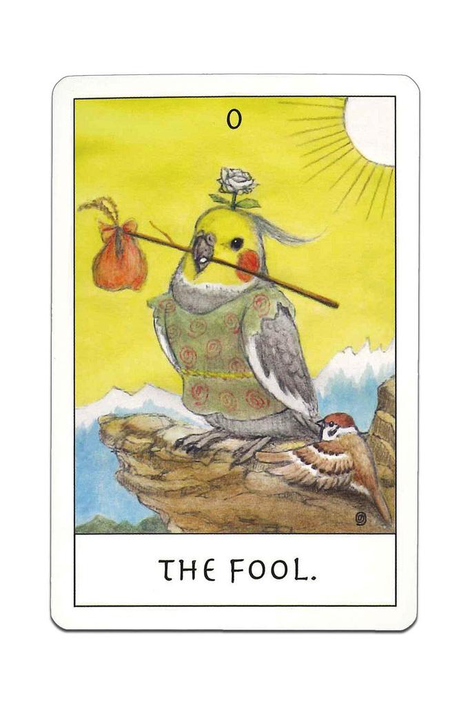 Tarot Cards Fortune Telling Bird Tarot with Japanese Commentary Illustrated by NORISAN 78-Piece "Pocket Manual"