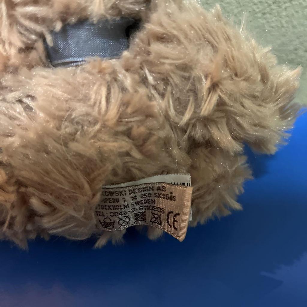 [USED] Bukowski Teddy Bear Stuffed Animal