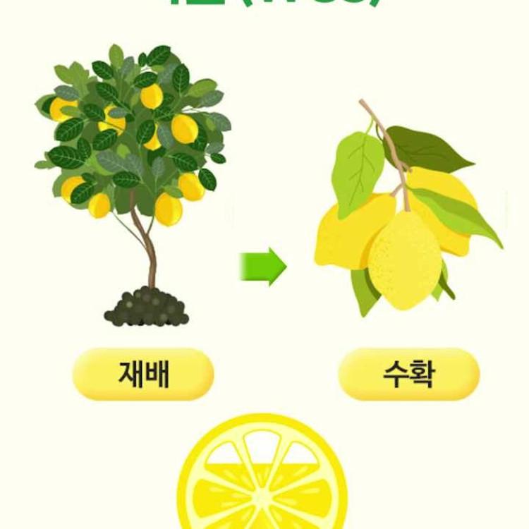 Nutricore WCS 100% Organic NFC Lemon Juice 280g 1 Box (20 G X 14 Packets)