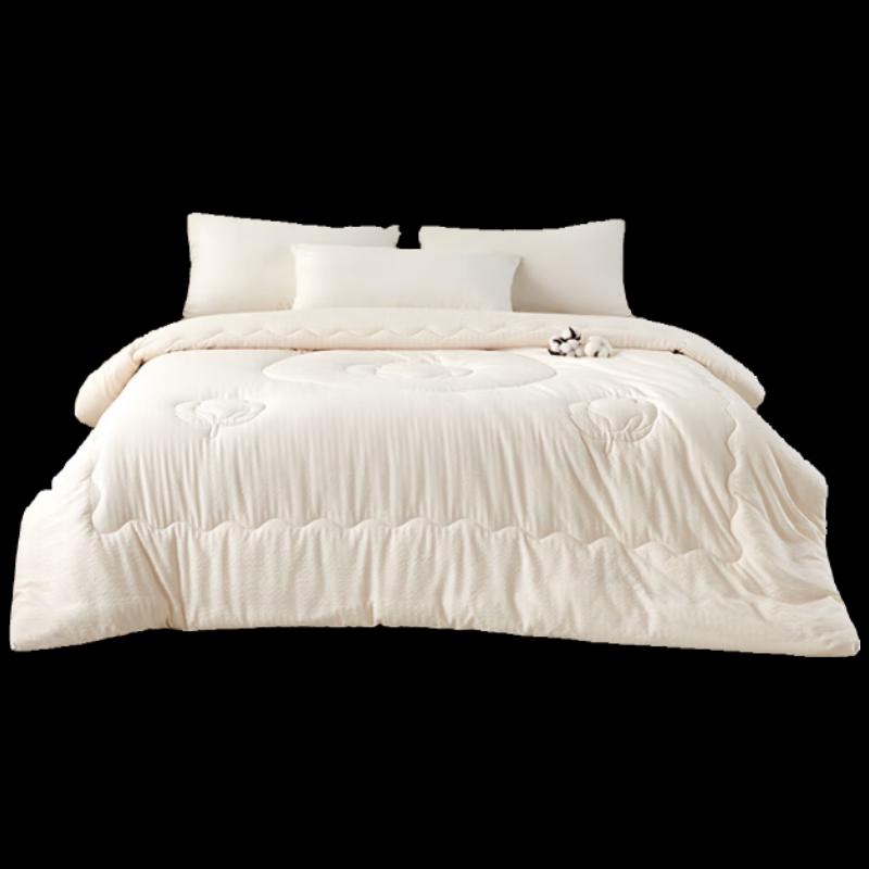 Hengyuanxiang 2-in-1 All-Season Quilt