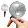 Plant Self Watering Globes Drip Irrigation System Automatic Plant Waterer Balls Self Watering Planter Insert for Potted Plants