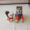 Season Pet Clothes Two-Legged Sweater Removable School Bag Small Dog Dog Sweater