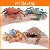 Marine Life Pvc Crab Model For Childrens Educational Aquarium Decor Toys