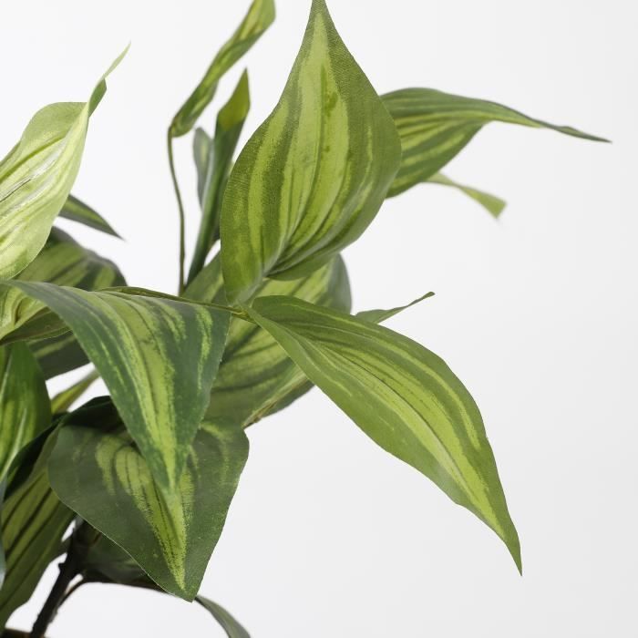 Plante Artificielle - Mica Decorations - Hosta - H65 X Ø40 Cm - Vert - Sans Entretien