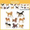 Charming Mini Dog Figurine Collection Realistic Pvc Husky Golden Retriever Shiba Inu Model