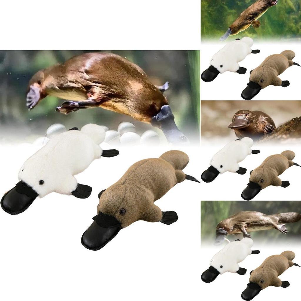 Soft And Cuddly Platypus Plush Toy For Kids Ideal Comforting Buddy And Car Decor