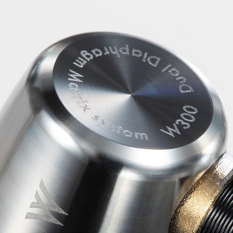 Radius HP-W300 Double V Series Titanium Alloy Housing High-Resolution Audio Earphones: High-Resolution Audio, MMCX Detachable Cable, Titanium Alloy
