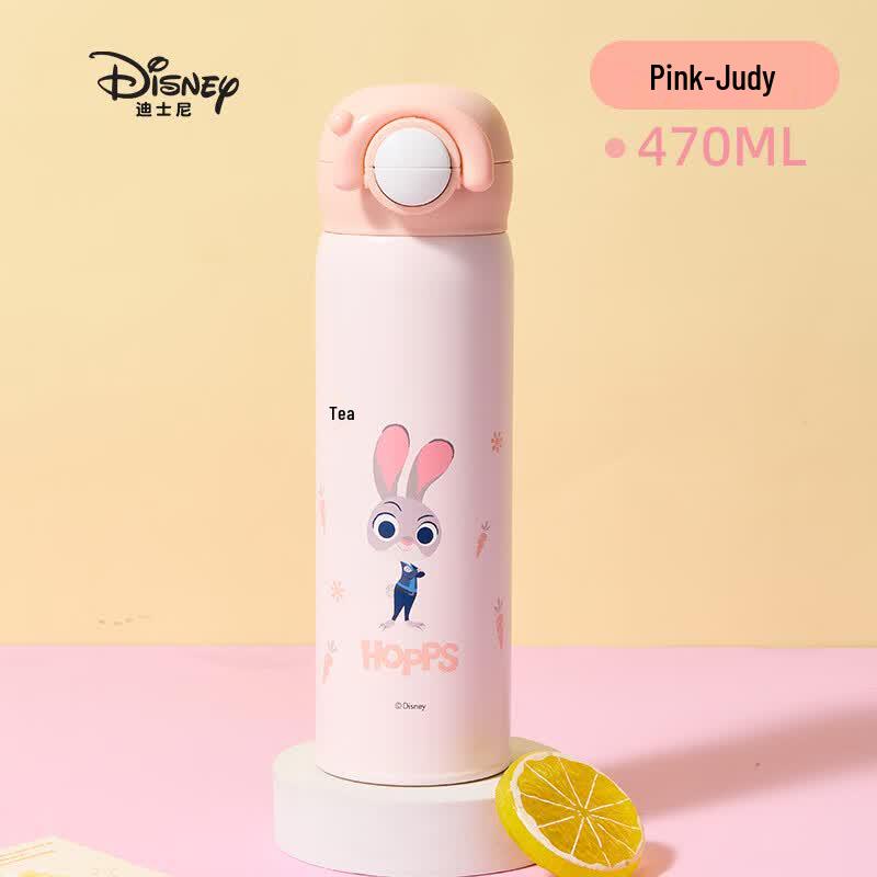 Disney Kids 316 Stainless Steel Insulated Water Bottle