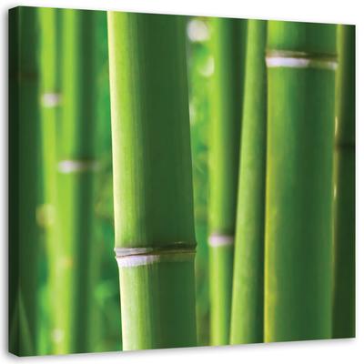 Canvas print, Bamboe details