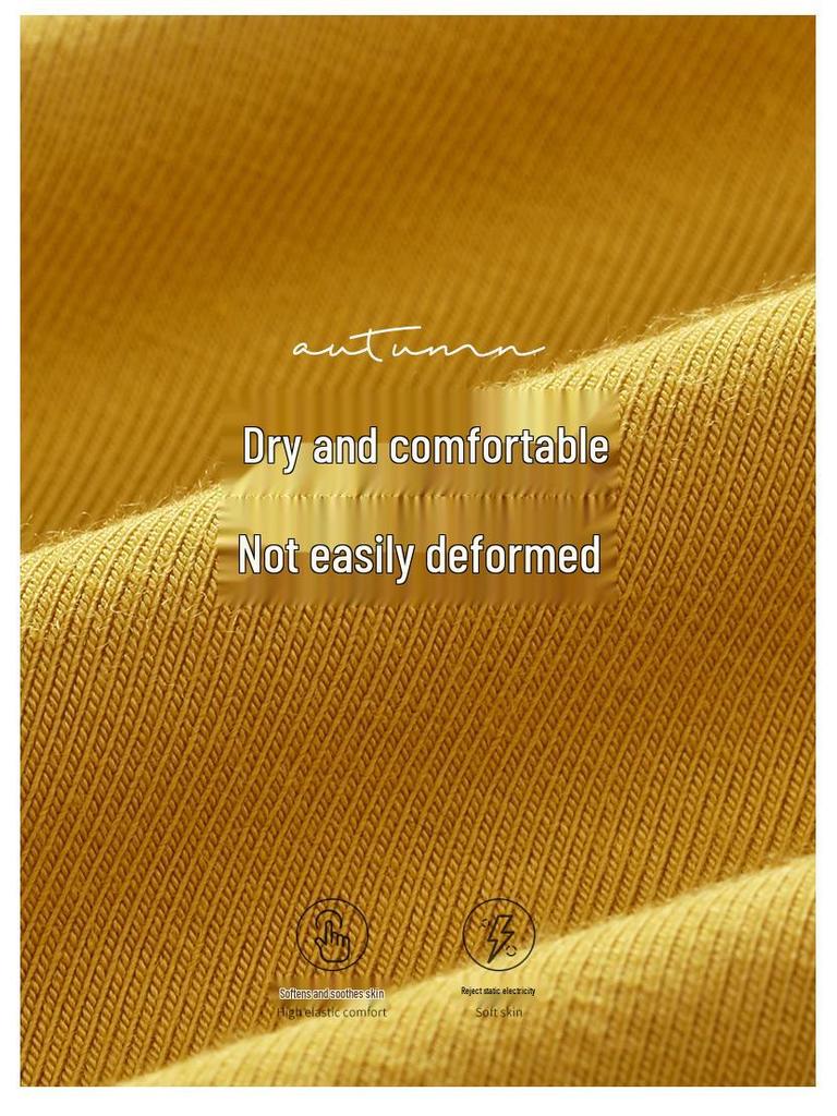 Damen Frühjahr 2025 Schlankmachendes Baumwoll-Langarm-Oberteil mit hohem Kragen