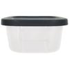 Durable Food Storage Containers 2Pack Stackable Nestable BPAFree Plastic Kitchen Storage Picnic Use Clear Lids Reusable