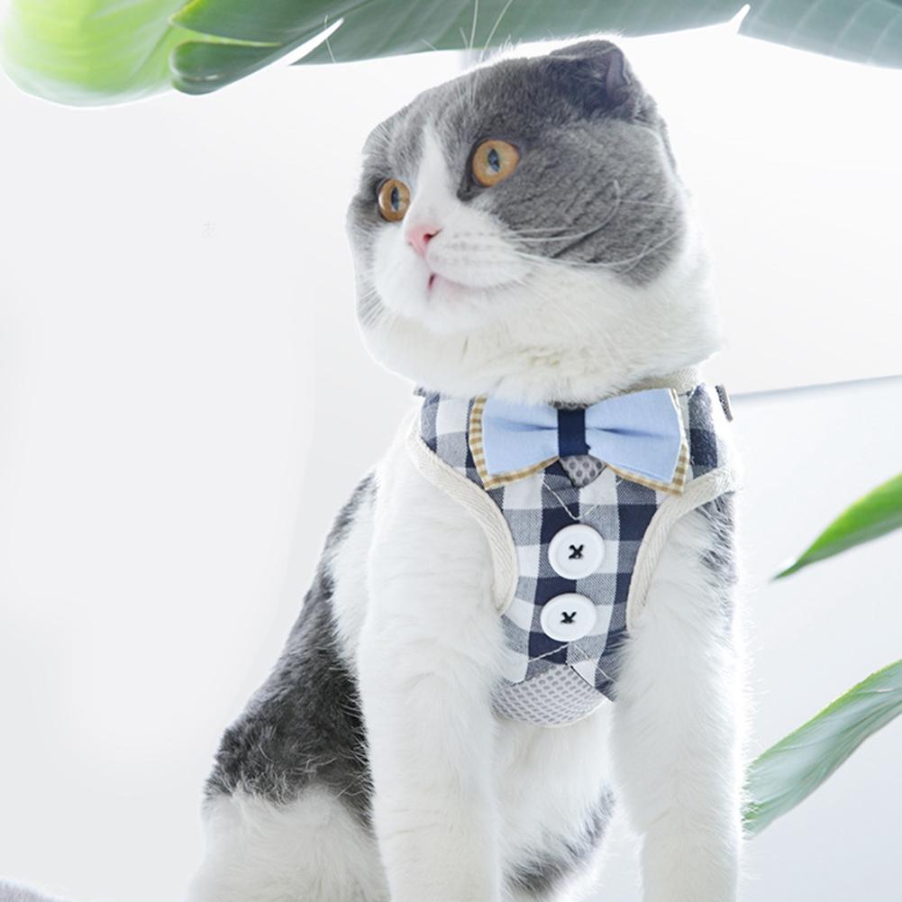 Polyester Breathable Mesh Vest Style Pet Chest Strap Harness Pulling Traction Leash Rope for Cats(M )