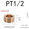 Plastic Mold Tapered Copper Hex Plug - PT British Standard Screw for Water Pipes