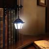 Modern Shelf Light Vintage Bookshelf Light, LED Reading Lamp for Bookcase, Metal Retro Lamp, Night Bedside Decorative Desk Book Lovers & Library Study