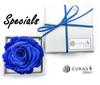CURAS Preserved Rose Flowers with Natural Diamond and Glitter (Blue, White Box)