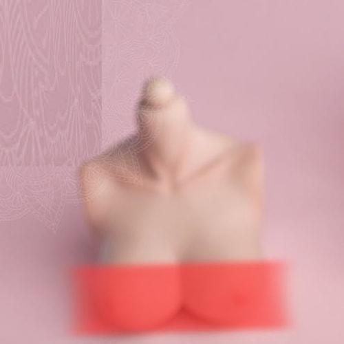 Toy Hobby TOYBARJAPAN 1/6 Scale Action Figure Fits Worldbox AT201, AT202, and AT203 Female Large Bust Part (Body Not Included) (E Cup Pale Skin)