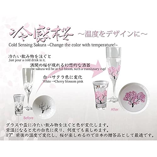 [Authentic Product] Marumo Takagi Ceramics - Enjoy with Temperature - Cherry Blossom in Full Bloom Cooling White Flat Sake Cup Pair Set - Sake Cups, J