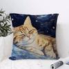 Van Gogh Starry Sky Cat Cushion Cover Eco Linen Pillow Case DoubleSided Print Breathable Durable Zipper Home Decor Gift