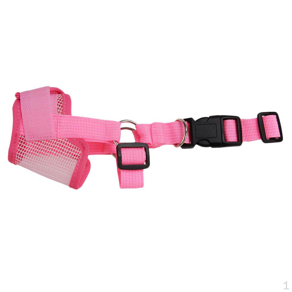 

Muzzles , Pink S