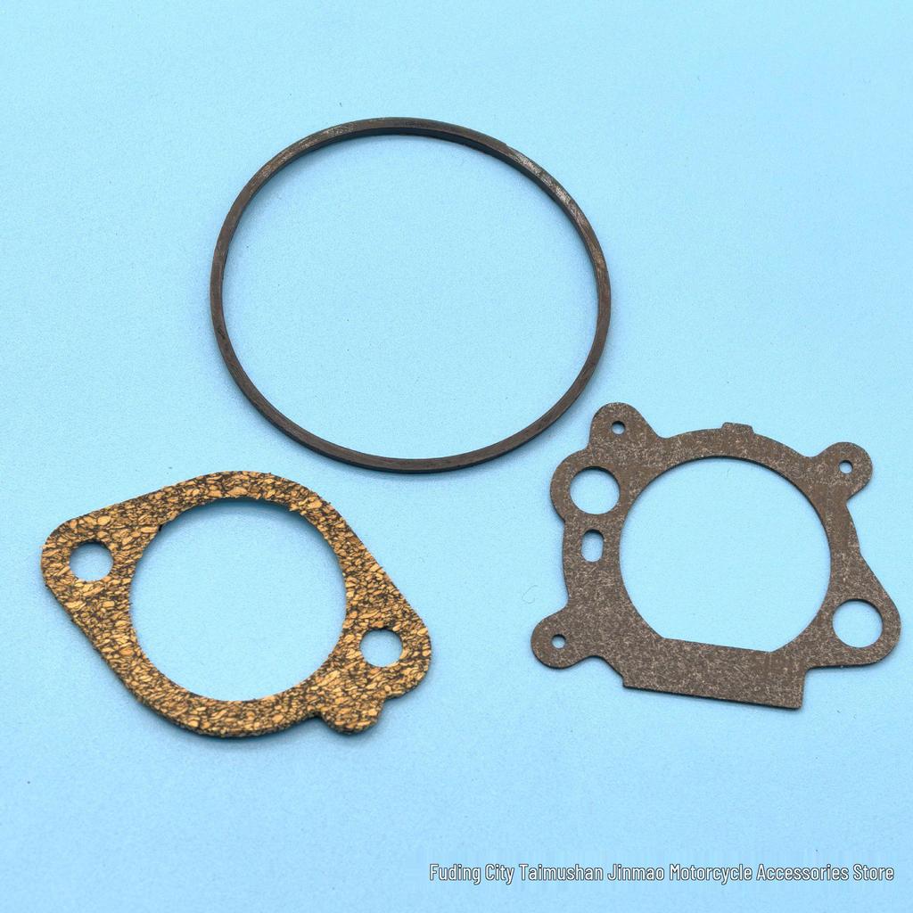 Briggs & Stratton Carburetor Repair Kit for 493762, 498260, and 12A800 Models